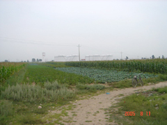 DSC02173_resize.JPG