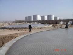 DSC01649_resize.JPG