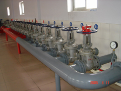 DSC02162_resize.JPG