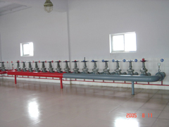 DSC02166_resize.JPG