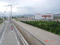 DSC01944_resize.JPG