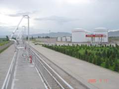 DSC01945_resize.JPG