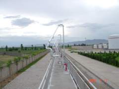 DSC01946_resize.JPG